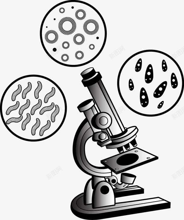 显微镜png免抠素材_88icon https://88icon.com 免费矢量下载 插画 显微镜 细胞 细胞简笔画