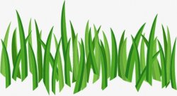 草地绿色海报网页创意广告灵感网店装修促销电商淘宝合素材