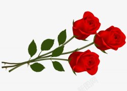 佑佑佑小溪图红色玫瑰情人节花花花花瓣素材
