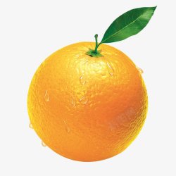 橙子美食素材