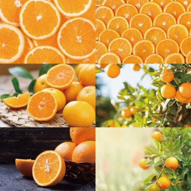 25个橙树果园水果香橙海报图图平面淘宝网高背景