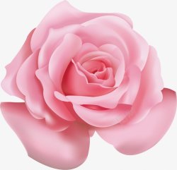 玫瑰花化妆品彩妆素材