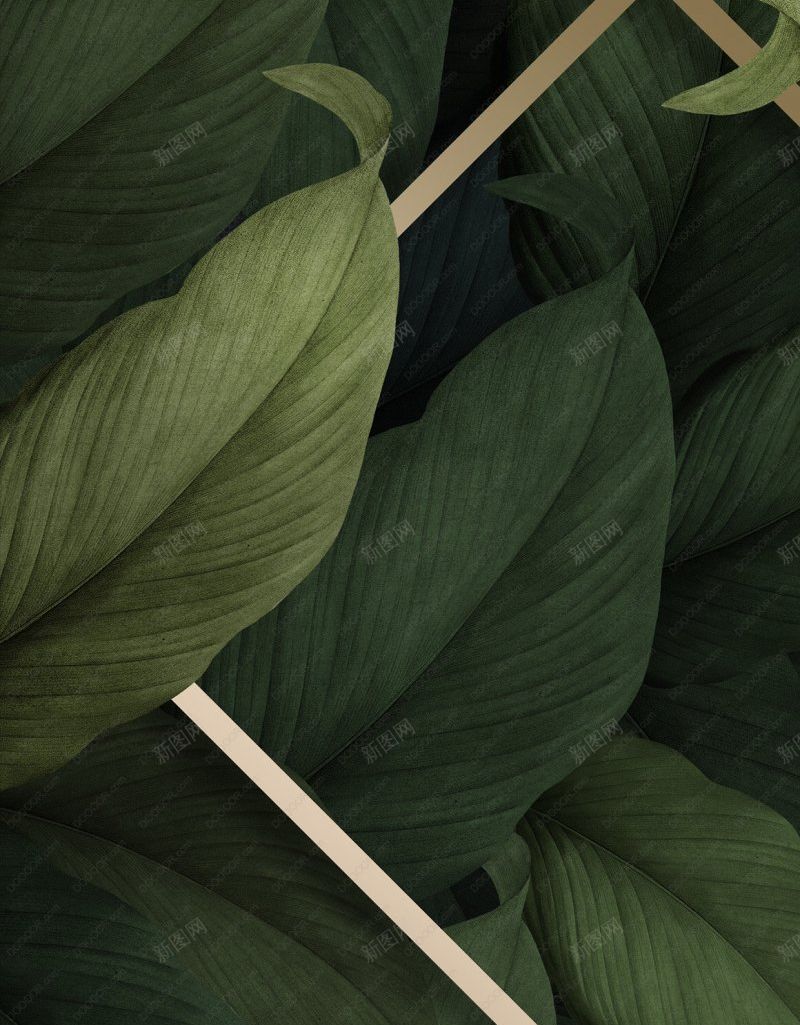 精美热带植物绿叶海报分层PSD地产2jpg设计背景_88icon https://88icon.com 图片2 地产