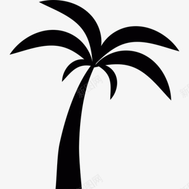 棕榈树大自然图标图标