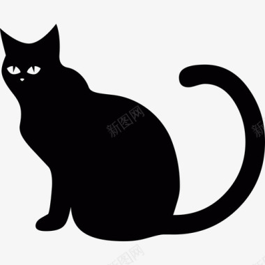 猫黑动物2013年万圣节图标图标