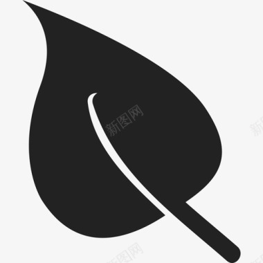 菜叶自然清洁图标图标