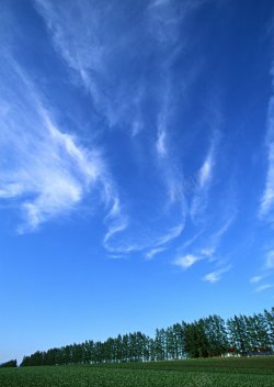 花丛的海洋风景天空蓝天白云溪水海洋河流瀑布草地森林高山花丛晚高清图片