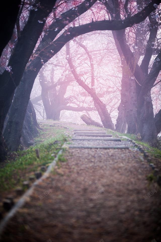 向山兰园樱桃树洞天空白云蓝天白云合成场景天空蓝天白jpg设计背景_88icon https://88icon.com 合成 向山兰园 场景 天空 樱桃树洞天空 海水 海洋 白云 蓝天 蓝天白云