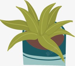 夏天绿色盆栽植物图绿植素材