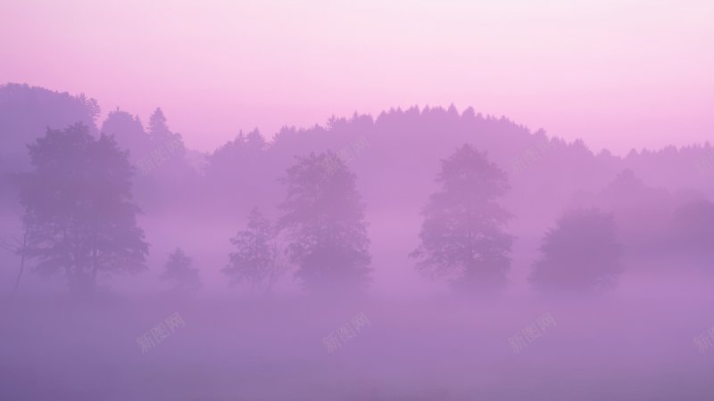 PinkForest天空白云蓝天白云合成场景天空蓝jpg设计背景_88icon https://88icon.com Forest Pink 合成 场景 天空 海水 海洋 白云 蓝天 蓝天白云