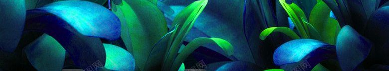 夏天节气手绘植物图底纹肌理jpg设计背景_88icon https://88icon.com 夏天节气手绘植物图 底纹 肌理