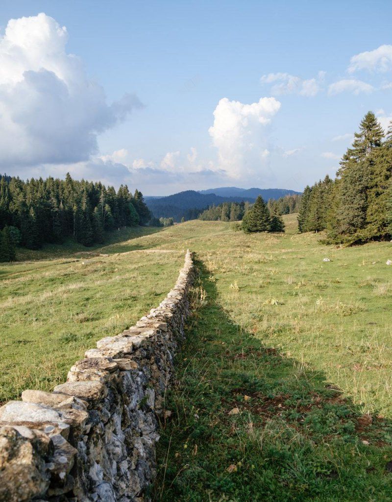 夏天清新海报清新壁纸合成合成摄影壁纸愈jpg设计背景_88icon https://88icon.com 愈 摄影壁纸