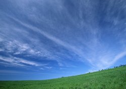 花丛的海洋风景天空蓝天白云溪水海洋河流瀑布草地森林高山花丛晚高清图片