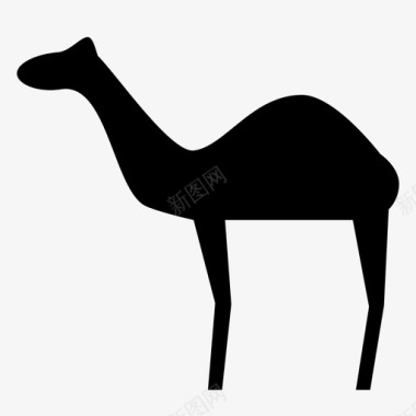 晕眩的骆驼骆驼动物哺乳动物图标图标