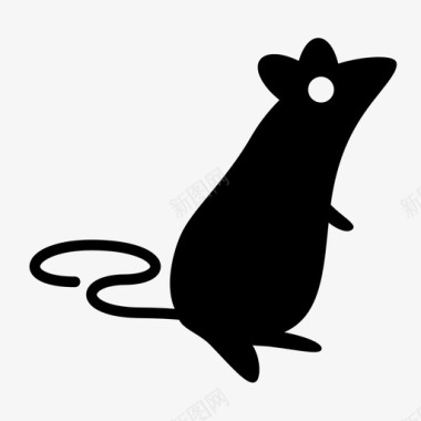 敬业的小动物大鼠实验老鼠图标图标