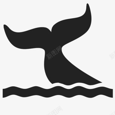 观赏鲸鱼鲸目动物海洋飞溅物尾巴图标图标
