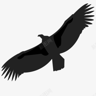 鸟梳羽毛秃鹰秃鹫食腐动物捕食者飞行图标图标