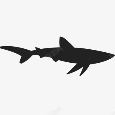 鲨鱼动物食肉动物鱼海洋图标图标