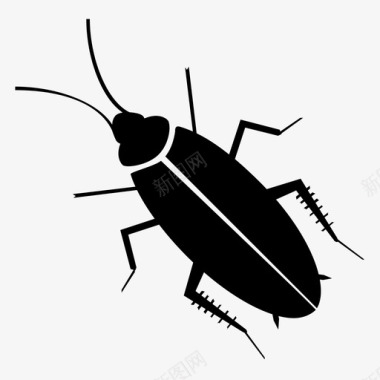 动物蟑螂动物生物图标图标