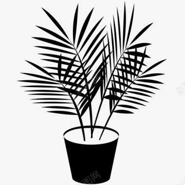采购产品植物竹棕榈植物室内植物叶子图标图标