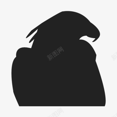 捕食者鹰动物鸟图标图标