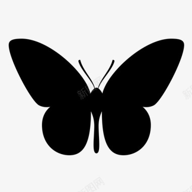 自然蝴蝶动物昆虫图标图标