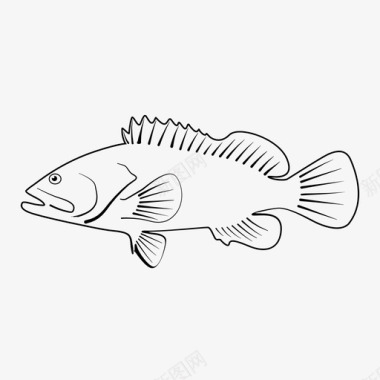 石斑鱼鱼美洲狮图标图标