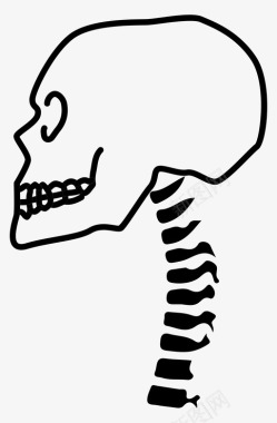 脊柱骨骼骨科图标图标