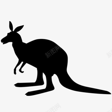 袋鼠动物澳大利亚乔伊跳跃图标图标