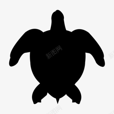 海龟红海龟海洋图标图标