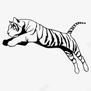 吃西瓜的老虎老虎野猫条纹图标图标