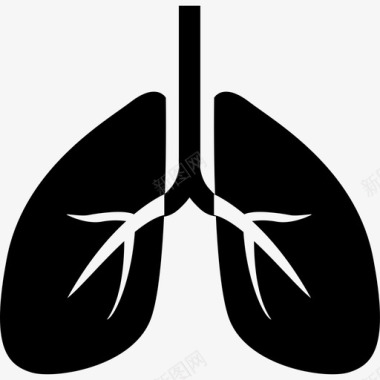 解剖PNG肺空气解剖学图标图标