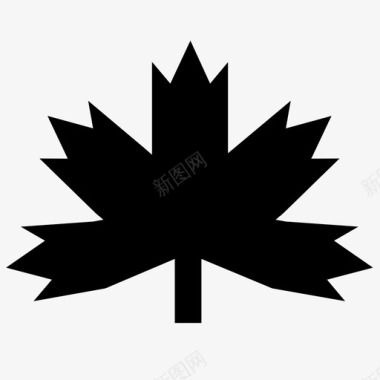 枫叶枫叶加拿大自然图标图标