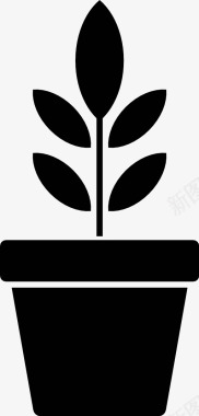 植物绿色室内植物生命盆栽图标图标