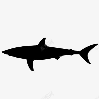 鲨鱼动物游泳图标图标