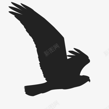 鸟梳羽毛鹰动物鸟图标图标