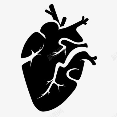 解剖学心脏解剖学心跳图标图标