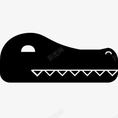 鳄鱼动物头图标图标