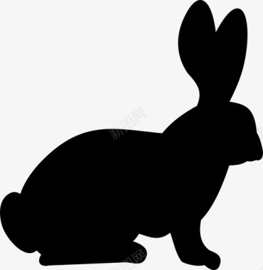大自然兔子动物野兔图标图标