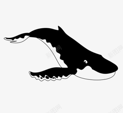 陆地动物生物鲸鱼海洋哺乳动物图标图标