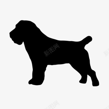 拉塞尔梗动物品种犬类狗图标图标