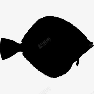 常见的dabcommon dab动物鱼类海鲜图标图标