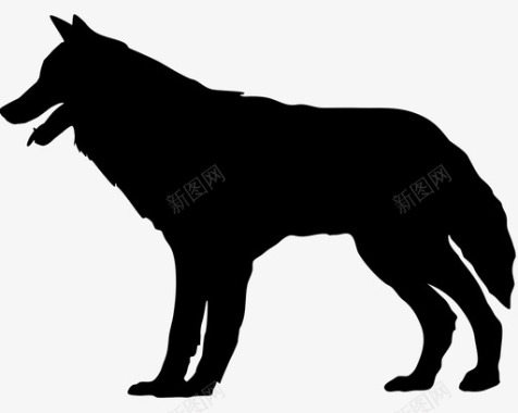 哺乳动物狼动物狗哺乳动物捕食者图标图标