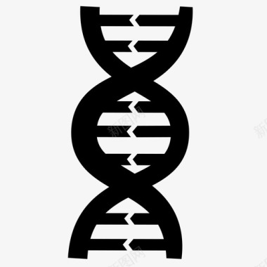 RNAdnadna螺旋基因图标图标