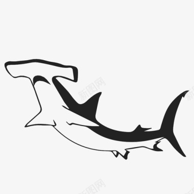 自然鲨鱼动物鱼图标图标