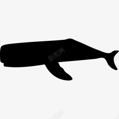 抹香鲸水游泳图标图标