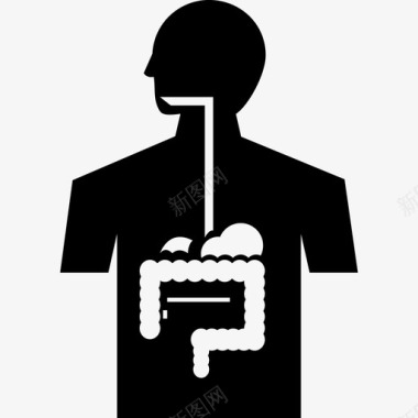 人的身体消化系统解剖学身体图标图标