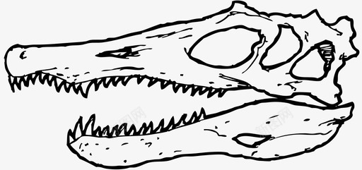 棘龙头骨三角龙恐龙骨图标图标
