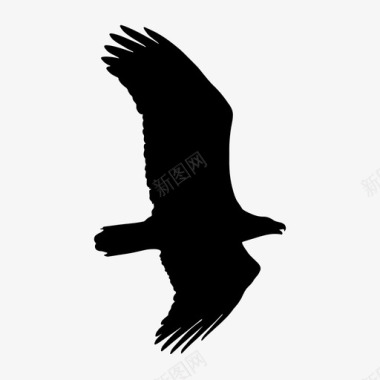 鹰乌鸦飞行图标图标