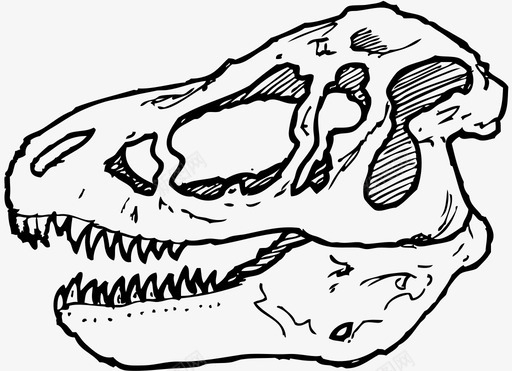 霸王龙头骨恐龙化石霸王龙图标图标